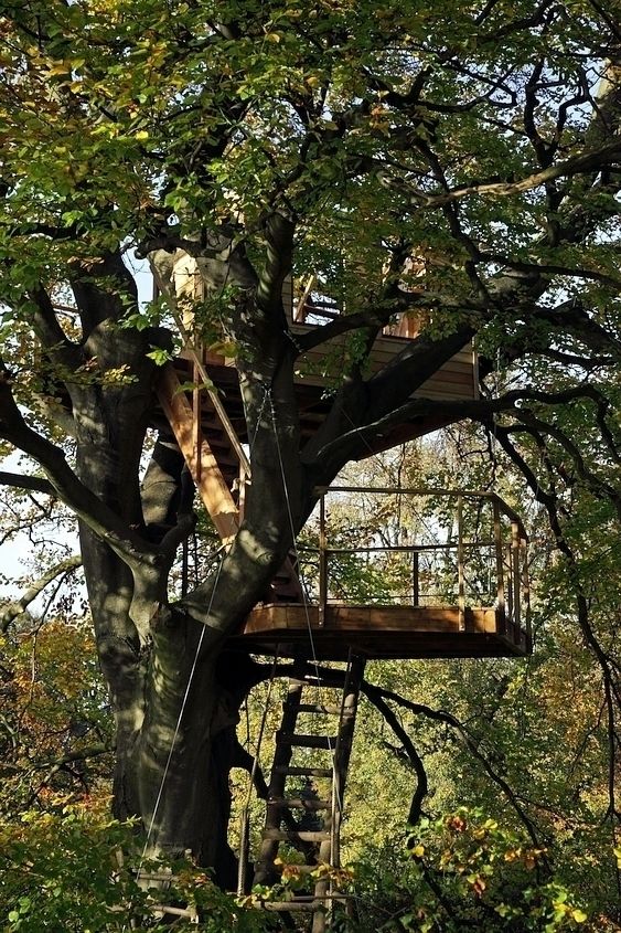 Baumhaus im Schlosspark, Luftschlösser Luftschlösser カントリーな 家