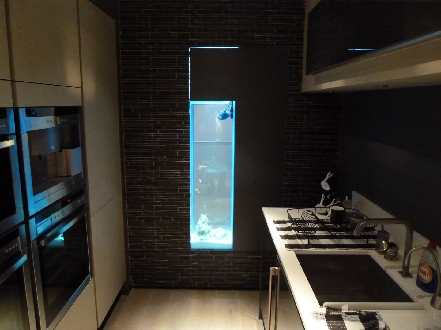 Kitchen Aquarium, Edinburgh, DC Aquariums DC Aquariums Кухня в стиле модерн