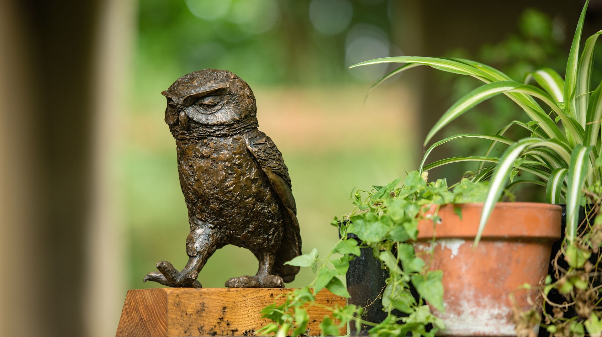 LITTLE OWL II (Passing Time), Marie Shepherd Marie Shepherd Więcej pomieszczeń Rzeźby