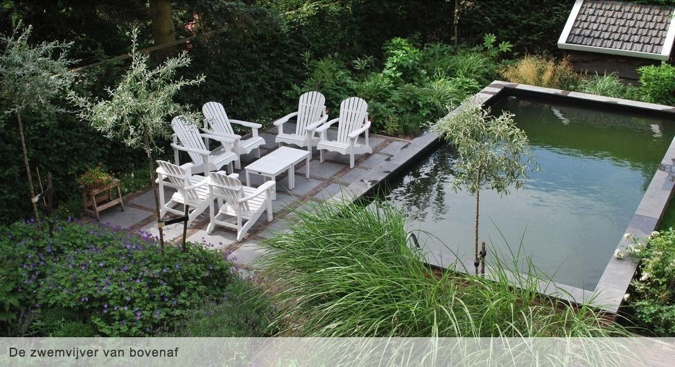 Een tuin met een zwemvijver, moestuin en kippen , Groene Kikker Tuinontwerp Groene Kikker Tuinontwerp Jardines de estilo moderno