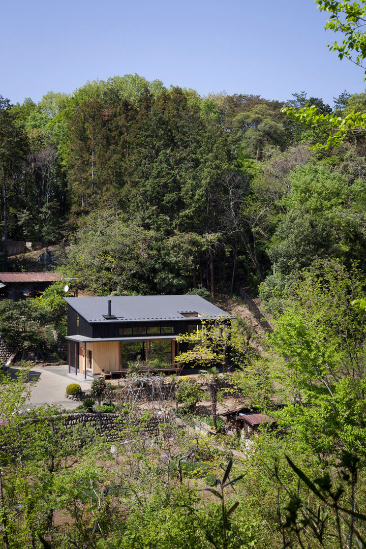 森林公園の家, HAN環境・建築設計事務所 HAN環境・建築設計事務所 Modern houses Wood Wood effect