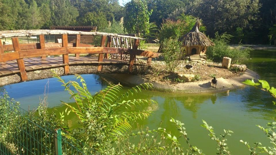 TANIERE DE BILBO LE HOBBIT à FLAYOSC (var) , Cabanes du Varon Cabanes du Varon Balcones y terrazas de estilo mediterráneo Plantas y flores