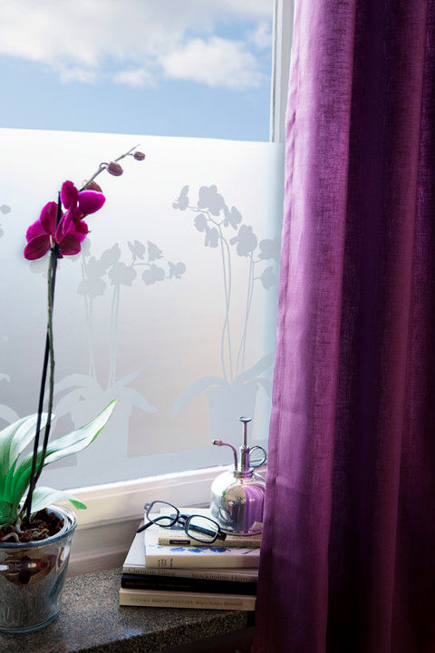 Orchids in Pots BY MAY/ Siluett Frost Window Film Puertas y ventanas de estilo moderno Decoración para ventanas