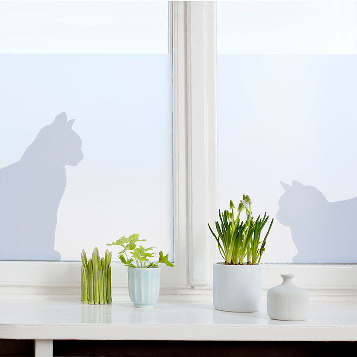 Cats in window BY MAY/ Siluett Frost Window Film Fenêtres & Portes minimalistes Décorations pour fenêtres