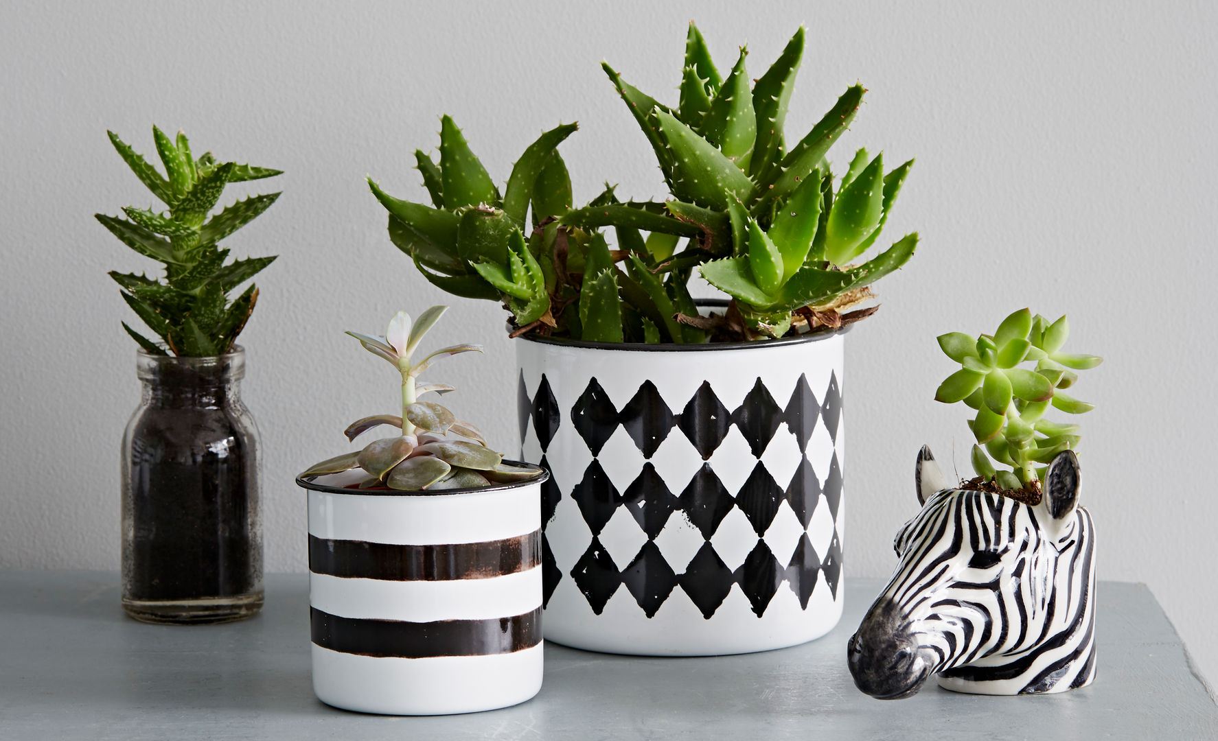 Black and White Enamel Pot rigby & mac حديقة ديكورات واكسسوارات