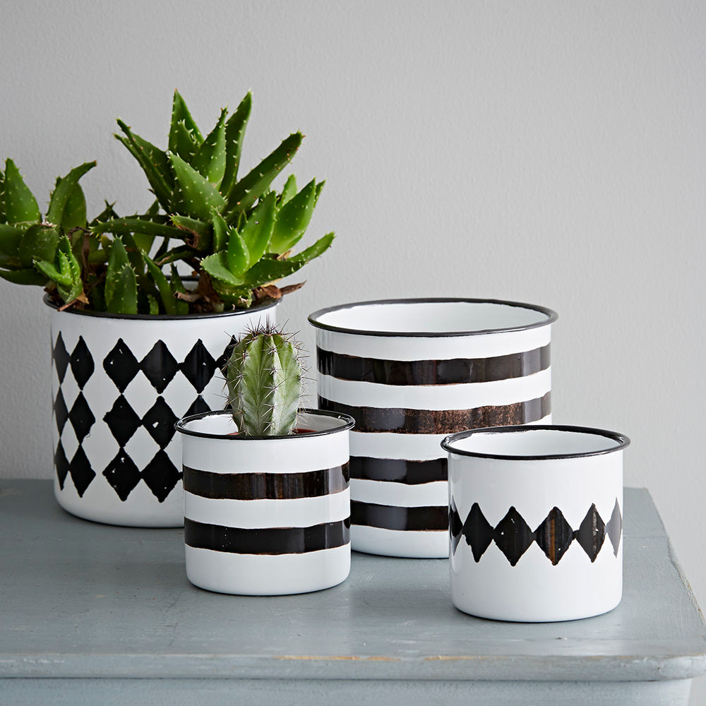 Home Accessories, rigby & mac rigby & mac Jardines eclécticos Plantas y accesorios