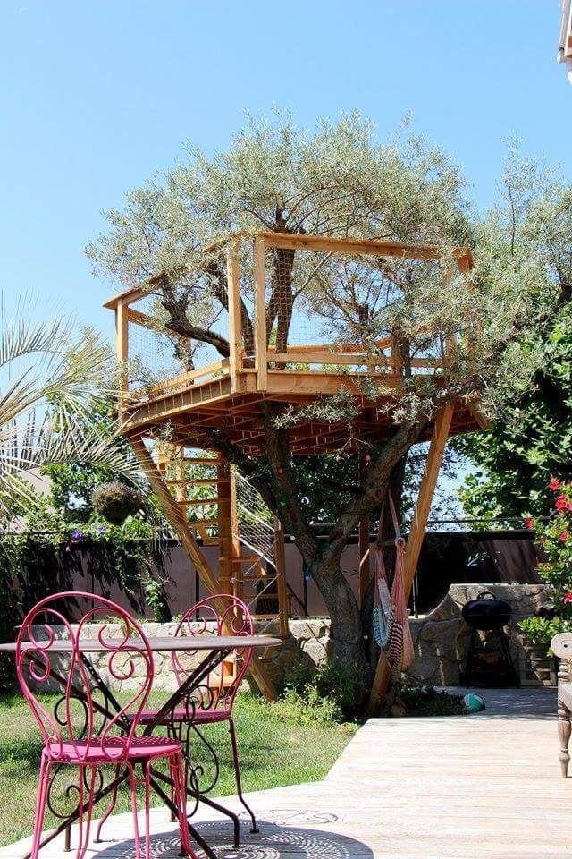 La terrasse de l'olivier, Cabaneo Cabaneo 庭院