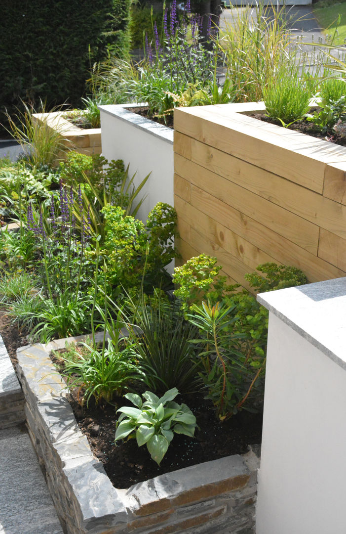 A small contemporary front garden homify Jardines de estilo moderno