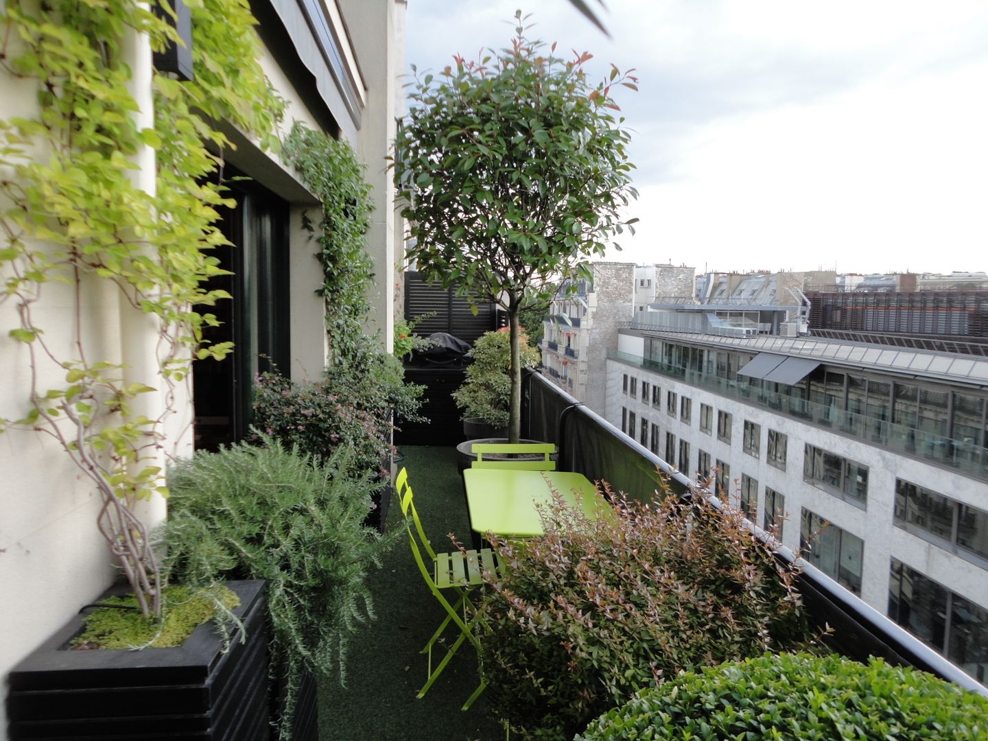 Balcon Paris 7, FIORELLINO paysagiste FIORELLINO paysagiste Balcon, Veranda & Terrasse méditerranéens Plante,Ciel,Immeuble,Jour,Propriété,Nuage,Fenêtre,Design urbain,Végétation,Arbre