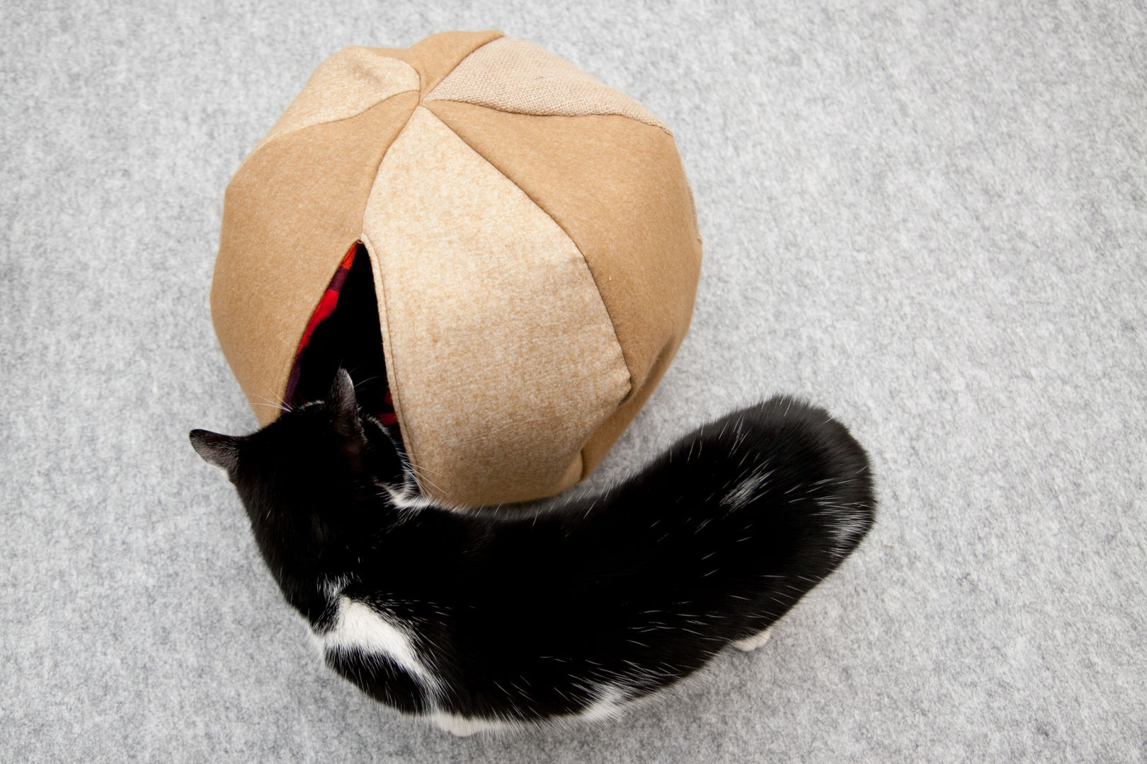 Herr Klecks auf dem Weg in seine Katzenkugel katzenkugel Weitere Zimmer Haustierzubehör