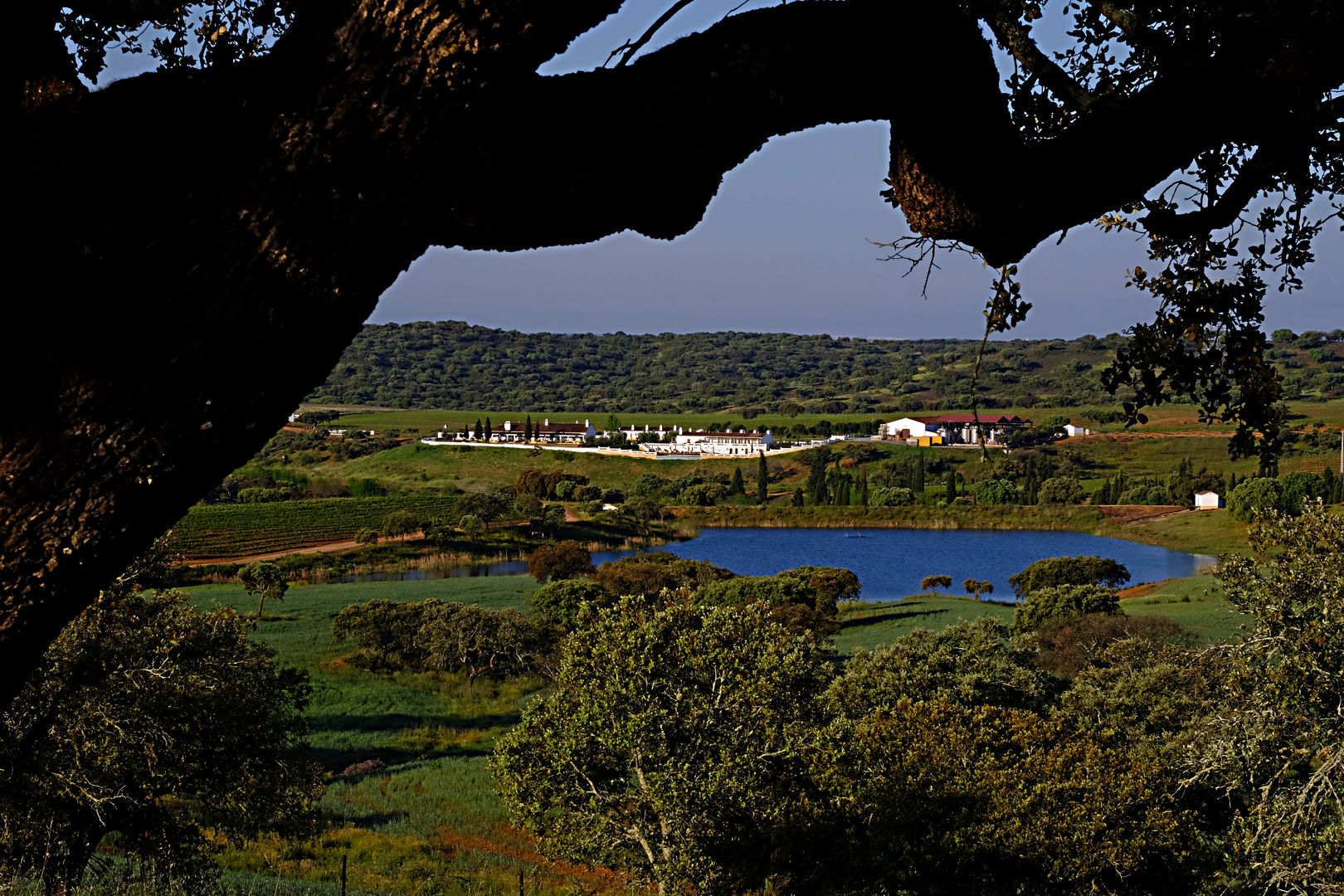 Herdade do Sobroso Country House, A.P.E.L A.P.E.L Landhäuser