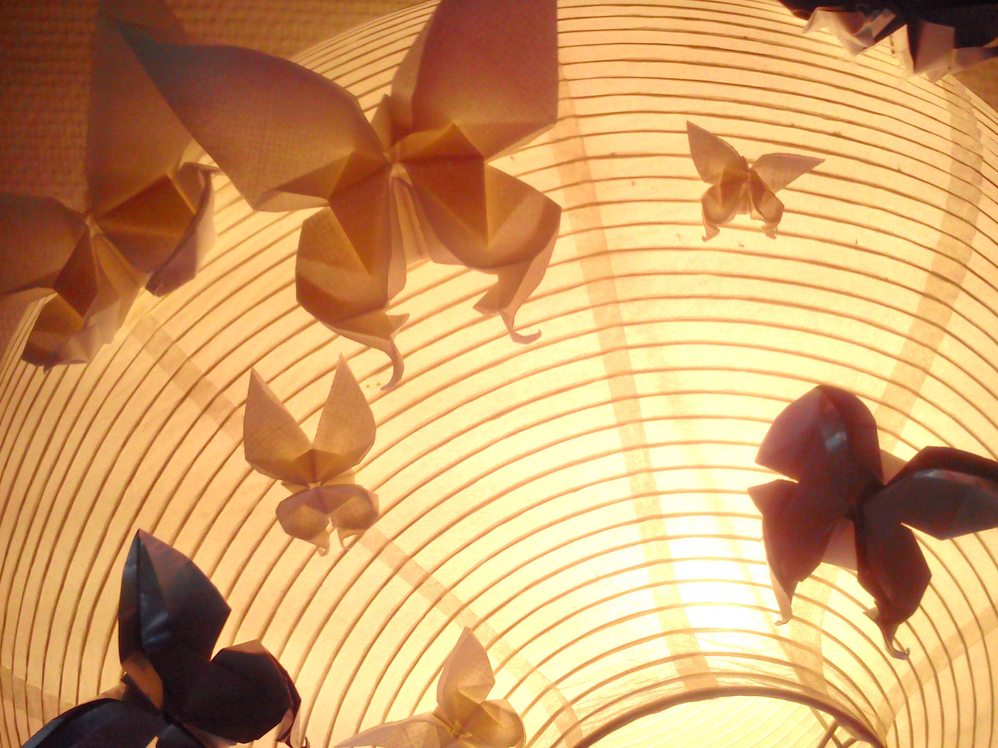 Les papillons sont attirés vers la lumière, Marie Be Design Marie Be Design オリジナルデザインの リビング 照明