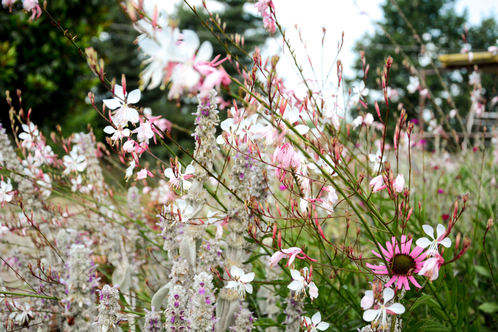 homify Rustic style garden