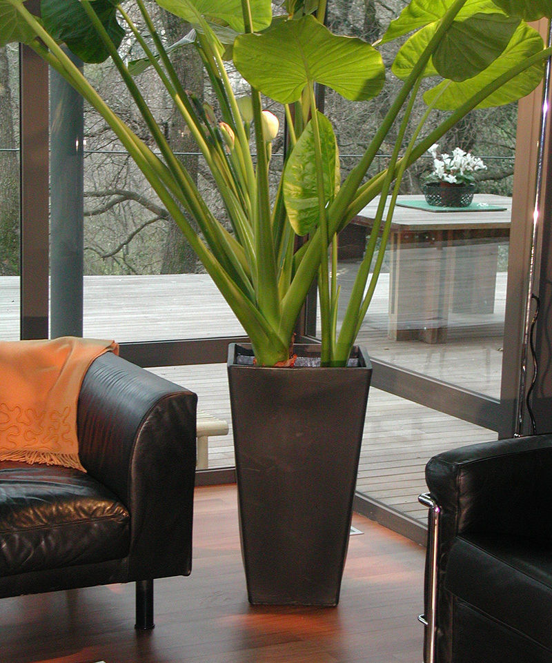 Kolekcja designerskich donic TerraForm, TerraForm TerraForm Modern Garden Plant pots & vases