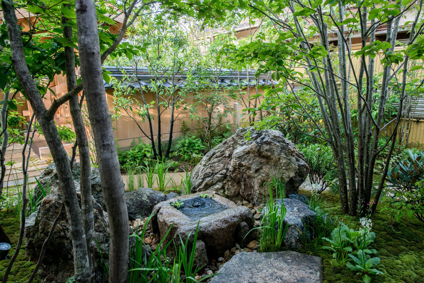 山口県山口市 U邸, 株式会社近江庭園 株式会社近江庭園 Jardines de estilo moderno