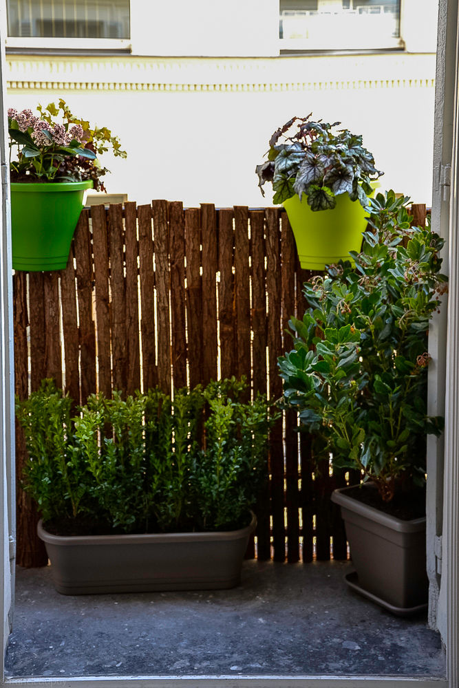 Inspiration foret, Balcon Facile Balcon Facile