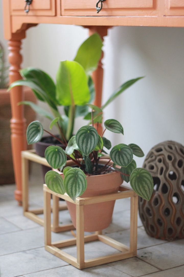 SUPORTE DE MADEIRA + Vaso de cerâmica, Pomelo Pomelo Jardines de estilo minimalista Accesorios y decoración