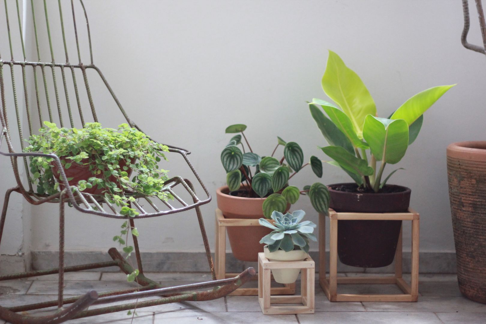 SUPORTE DE MADEIRA + Vaso de cerâmica, Pomelo Pomelo Jardines minimalistas Plantas y flores