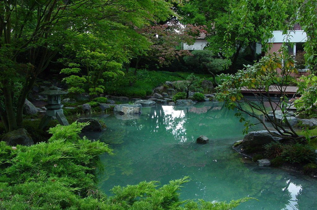 Altes im neuen Gewand - Sanierung einer Teichanlage in einem bestehenden japanischen Garten, Kokeniwa Japanische Gartengestaltung Kokeniwa Japanische Gartengestaltung アジア風 庭