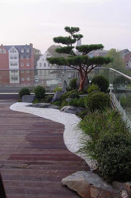 Über den Dächern von Leer, Kokeniwa Japanische Gartengestaltung Kokeniwa Japanische Gartengestaltung สวน