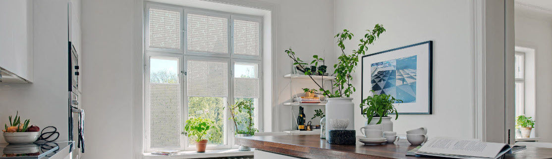 Plissee & Sonnenschutz: Passgenau Systemlösungen für maximalen Wohnkomfort, Livoneo Livoneo Modern windows & doors Window decoration