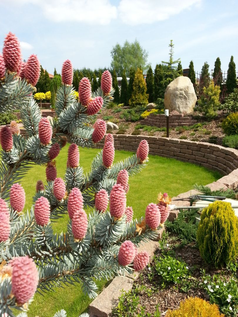 Wielopoziomowy ogród, LandscapeDesign.pl LandscapeDesign.pl Jardines clásicos