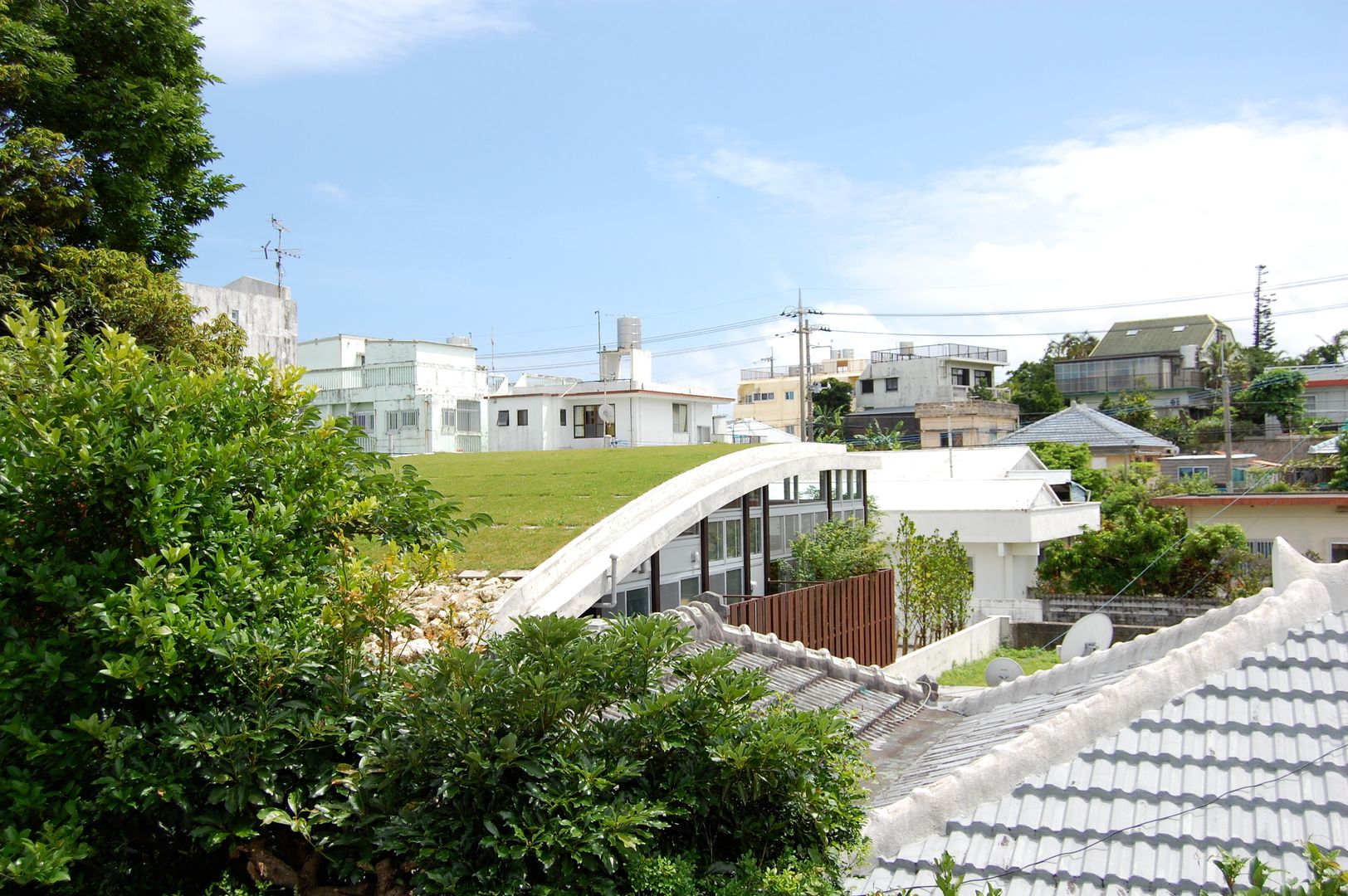 屋上緑化した屋根 Atelier Nero 日本家屋・アジアの家