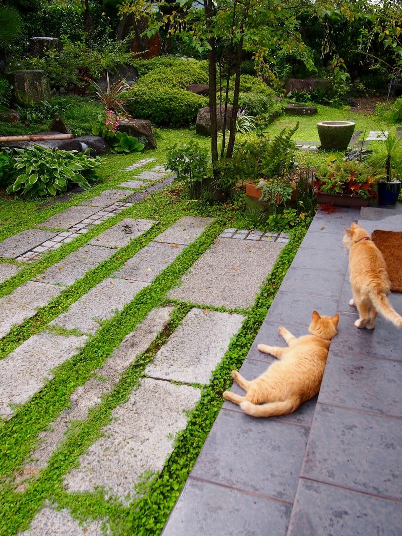 猫のいる庭, ヒグラシ園藝店 ヒグラシ園藝店 Eclectic style garden