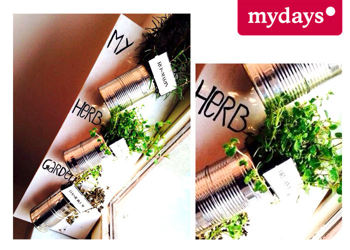 Kräutergarten DIY, mydays mydays 地中海デザインの テラス 植物＆花