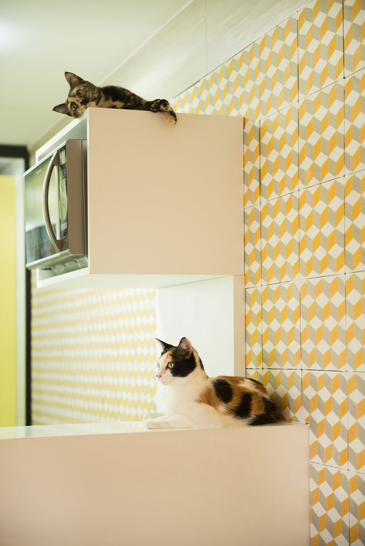 Sete Gatos em 50m² homify Cozinhas modernas