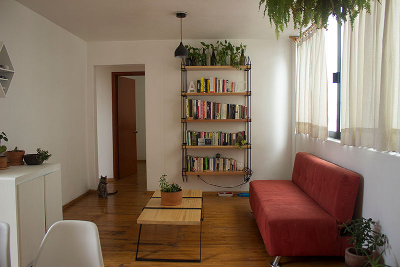 Una habitación con estantería, plantas y librero con vista a la