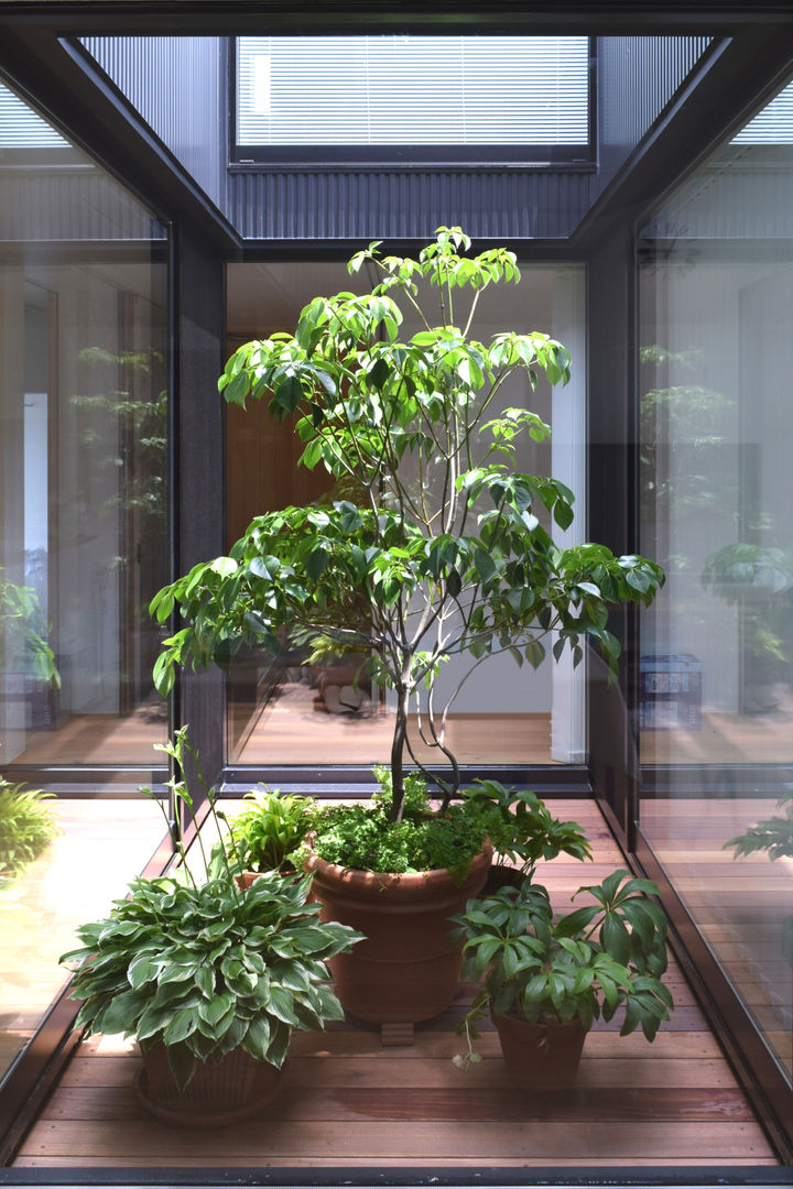 LIGHT COURT with PLANTS FURUKAWA DESIGN OFFICE Jardines de estilo moderno