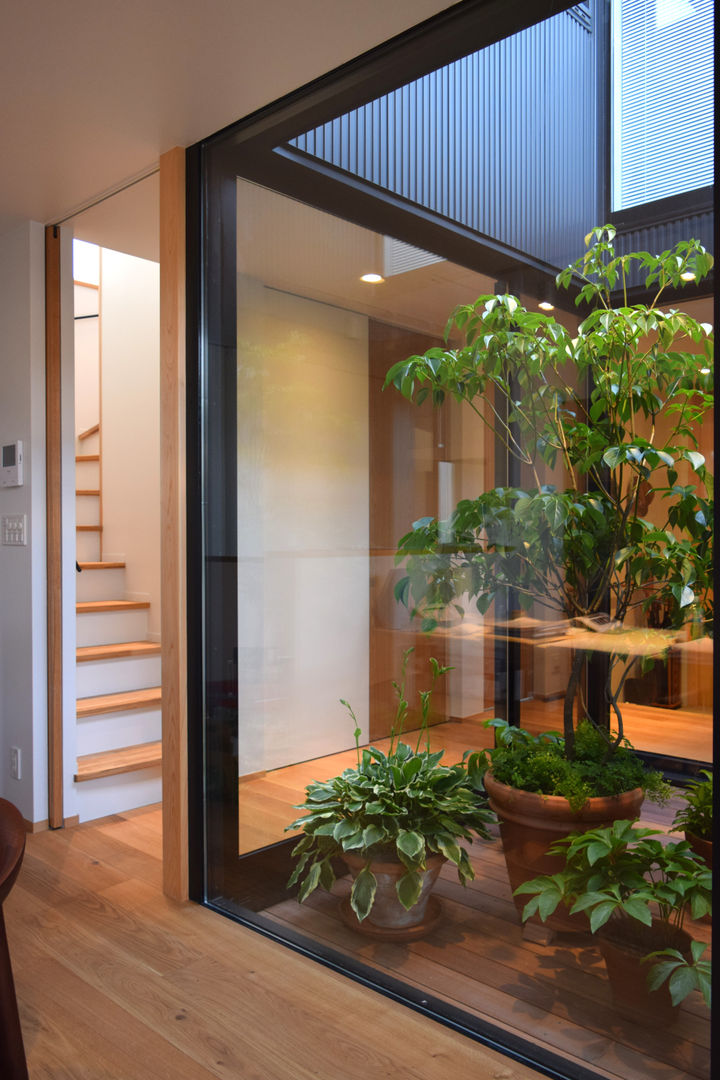 LIGHT COURT with PLANTS FURUKAWA DESIGN OFFICE 모던스타일 정원