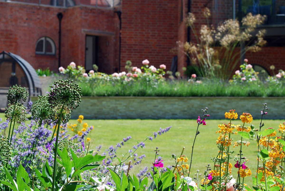 Lawn and planting Lush Garden Design Garden