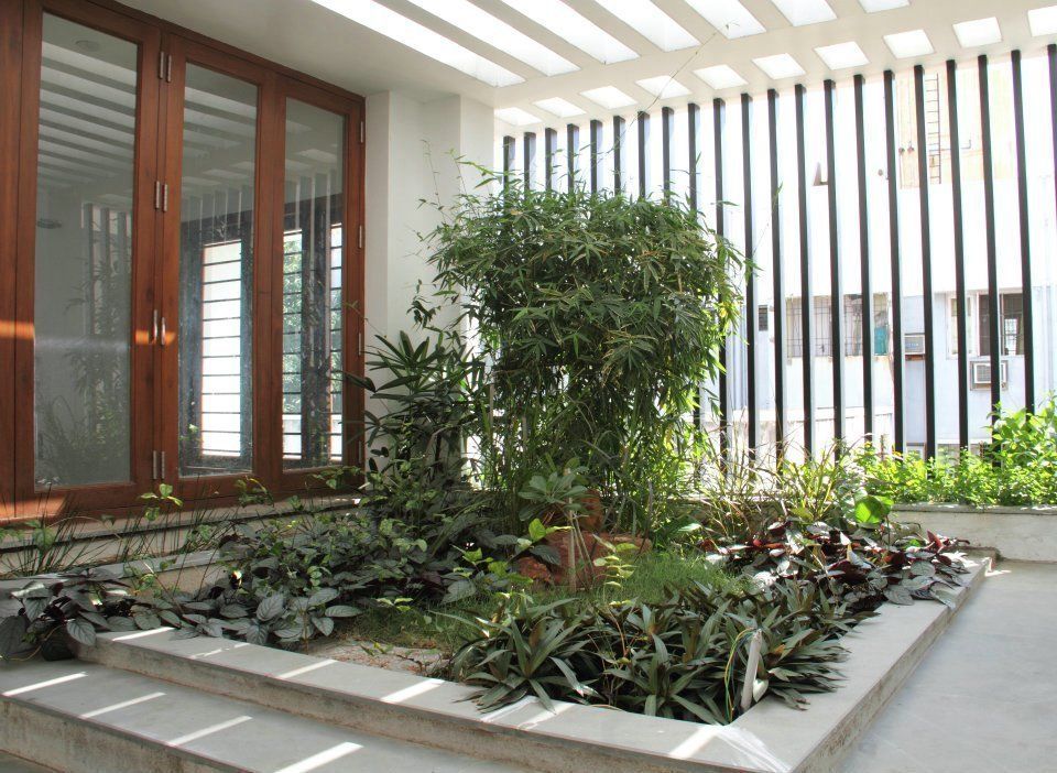3G HOUSE – UMA SURESH, Muraliarchitects Muraliarchitects Modern garden Plant,Building,Property,Window,Fixture,Interior design,Vegetation,Wood,Wall,Line