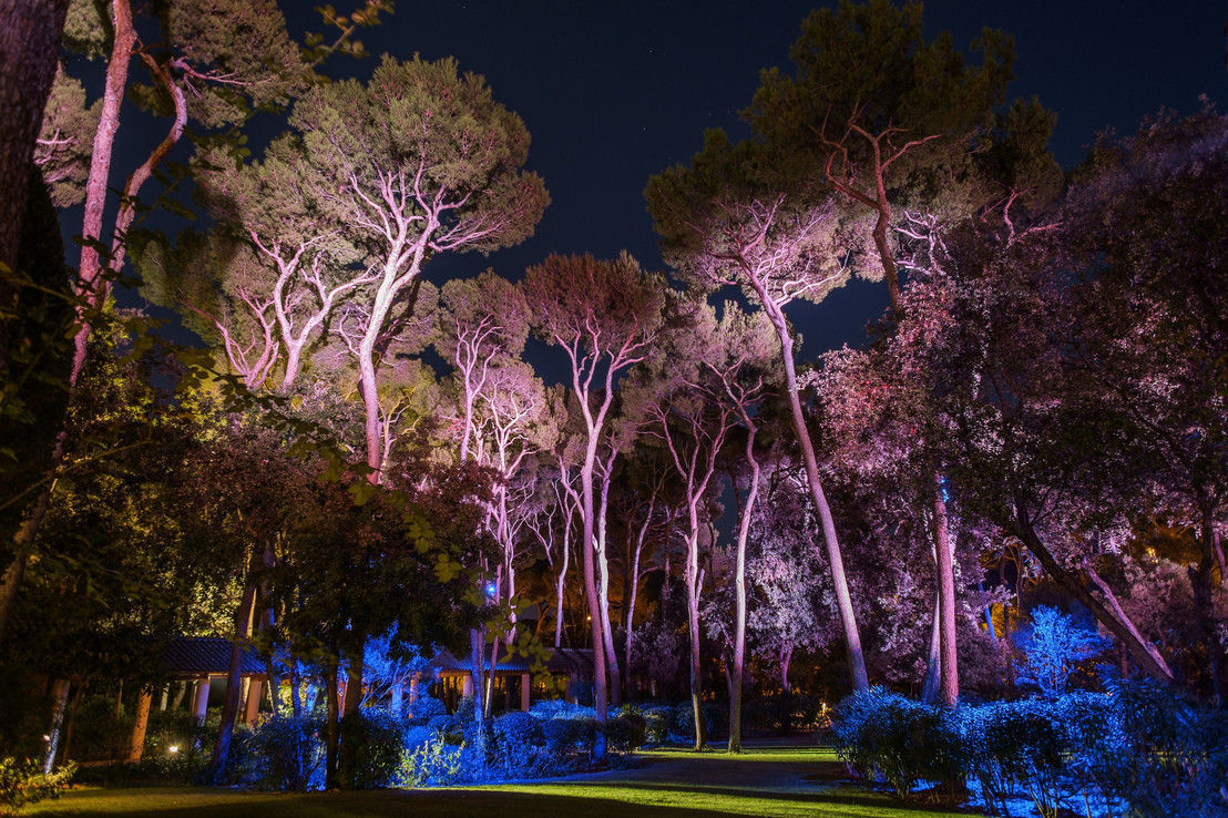 Sere d'estate illuminate, come creare la giusta atmosfera in giardino  grazie alle luci