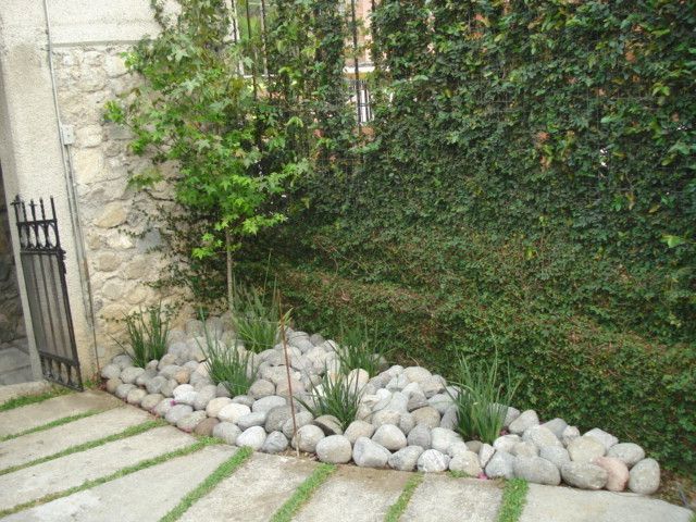 Piedra de bola con Árbol de liquidámbar y Lirio persa, Vivero Sofia Vivero Sofia Minimalist style garden