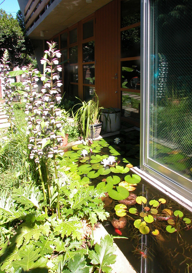 庭と一つになる家 The house which becomes united with a garden, ユミラ建築設計室 ユミラ建築設計室 Modern garden Wood Wood effect