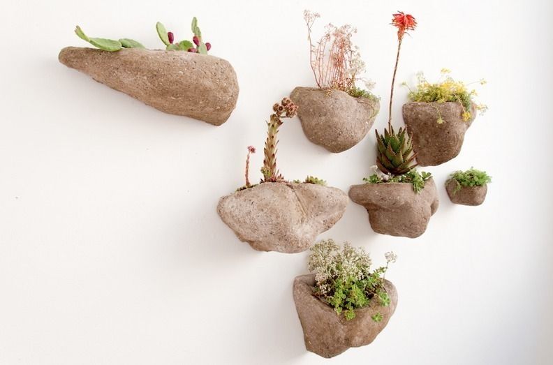 Wedding Plant - Mineral, Julie Martin Julie Martin Внутрішній сад Внутрішнє озеленення