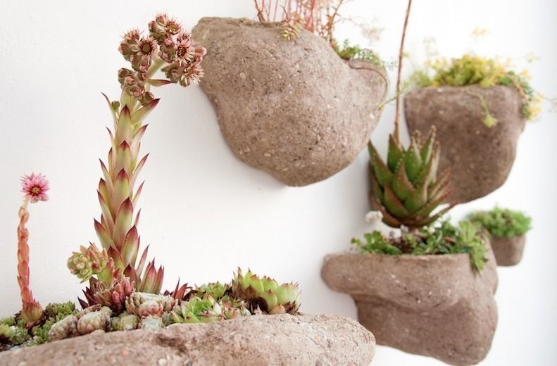 Wedding Plant - Mineral, Julie Martin Julie Martin حديقة داخلية Interior landscaping