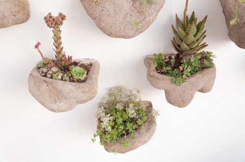 Wedding Plant - Mineral, Julie Martin Julie Martin حديقة داخلية Interior landscaping