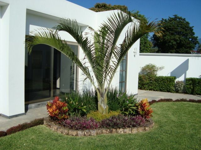 Jardín Tropical, Vivero Sofia Vivero Sofia حديقة