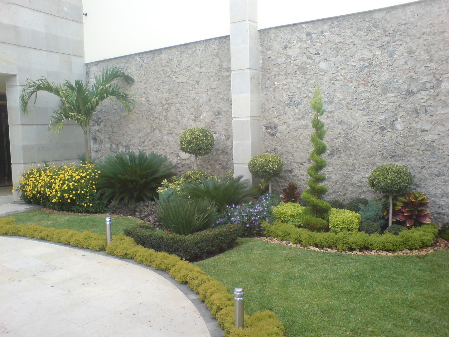 Jardín irregular con palmeras y topiarios Vivero Sofia Jardines de estilo mediterráneo