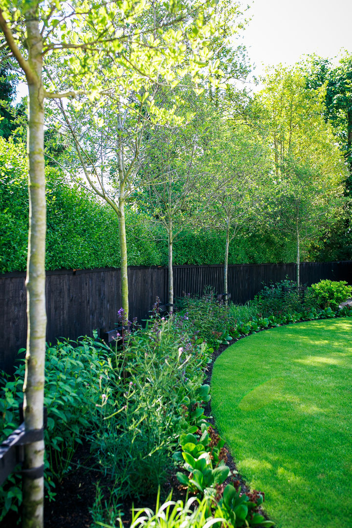 Planted border with fence and hedge Barnes Walker Ltd Jardins minimalistas