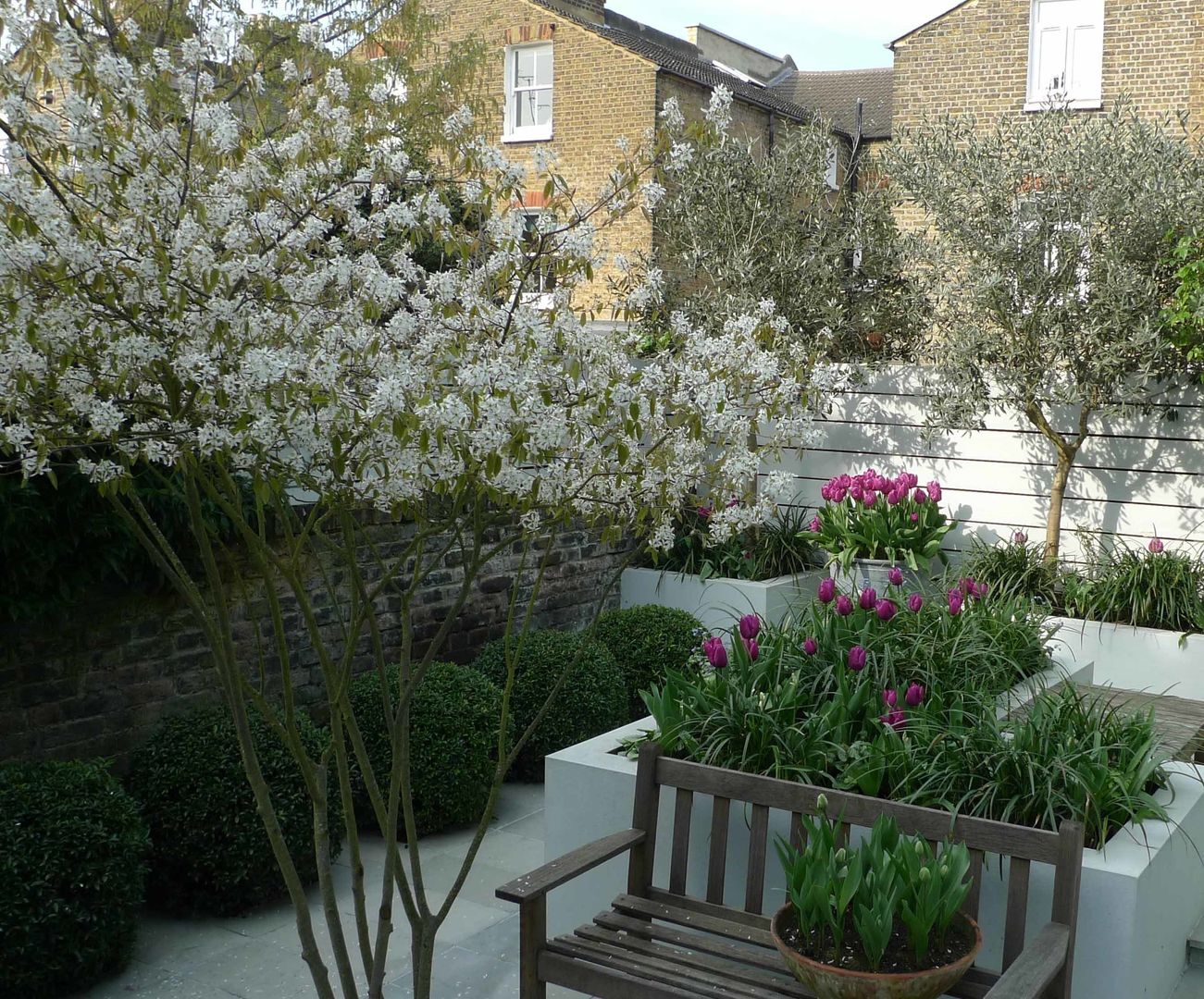 Small urban garden Ruth Willmott Modern Garden