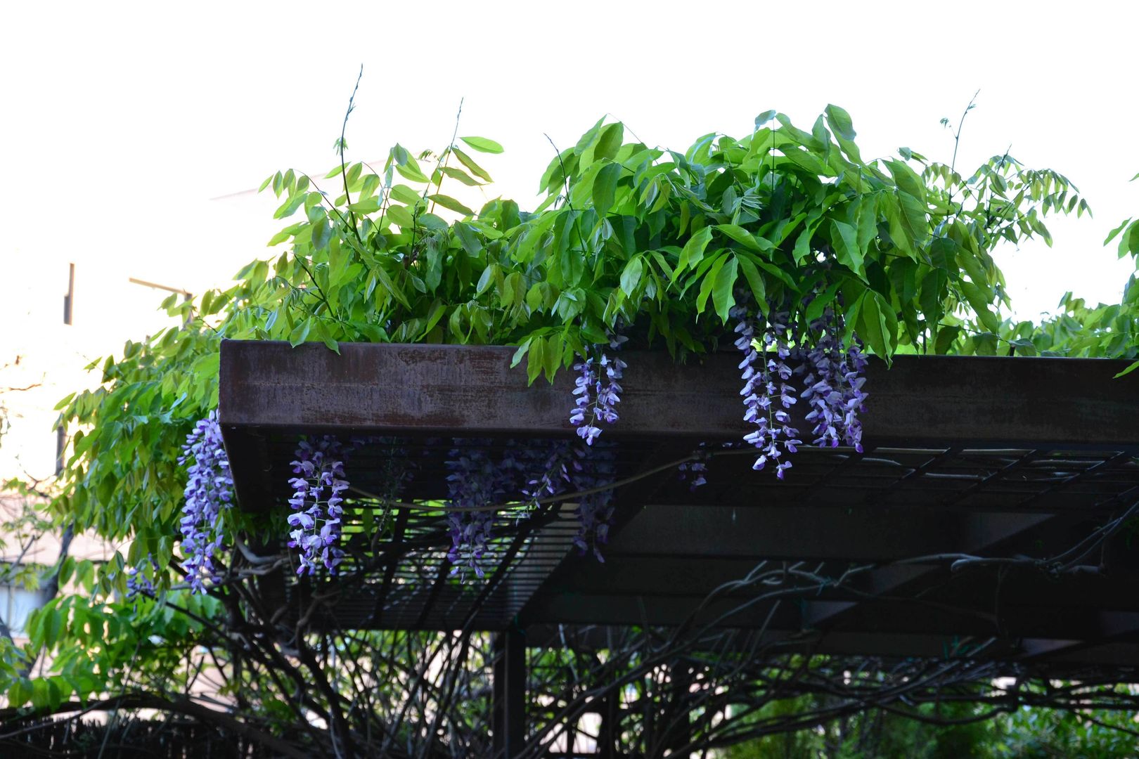 ¡Las Pérgolas que tu casa necesita para la primavera!, Slabon Forja Creativa Slabon Forja Creativa Jardin méditerranéen Abris de jardin & serres