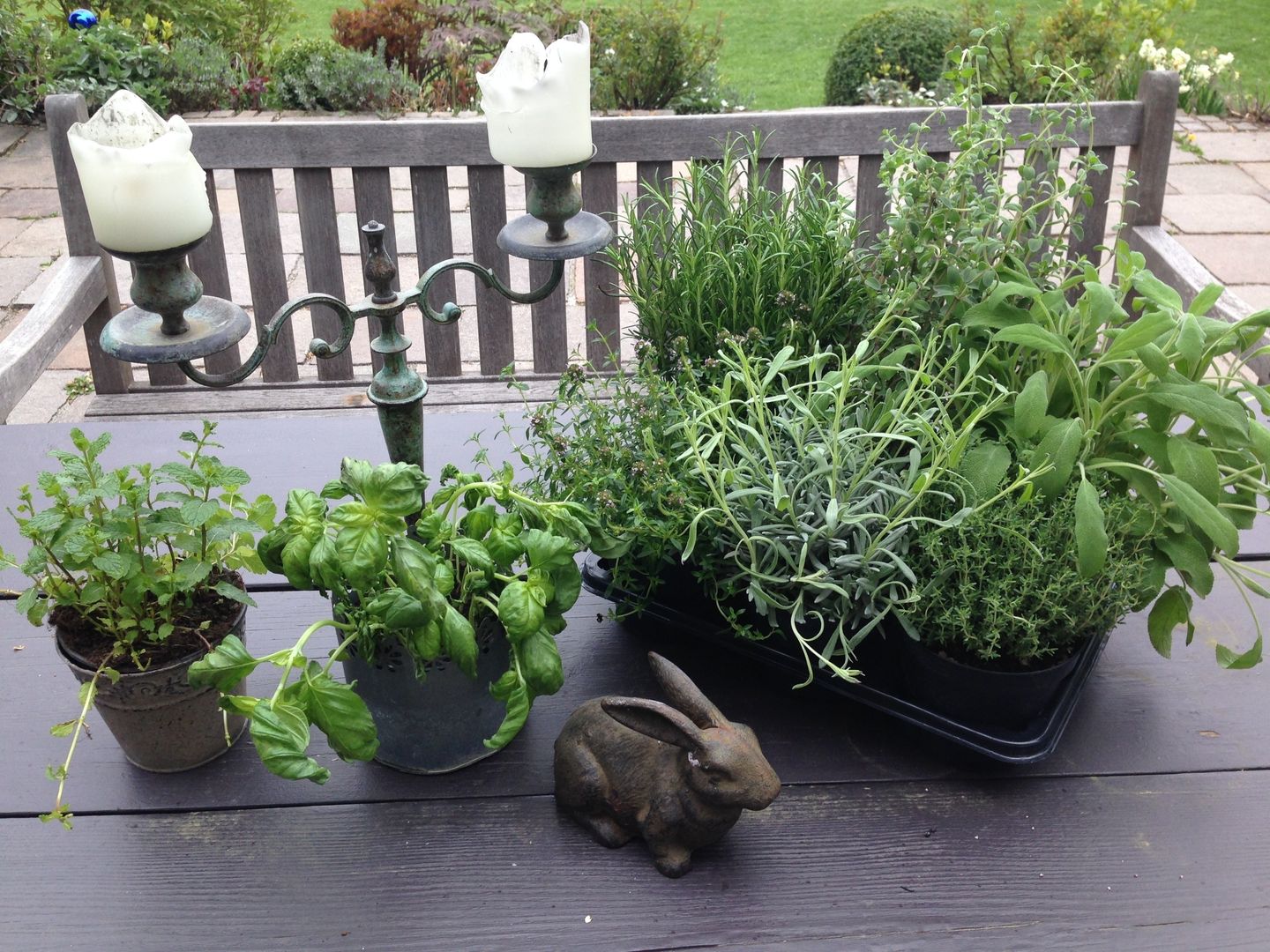 Garten, Home Staging Gabriela Überla Home Staging Gabriela Überla Classic style balcony, veranda & terrace Plants & flowers