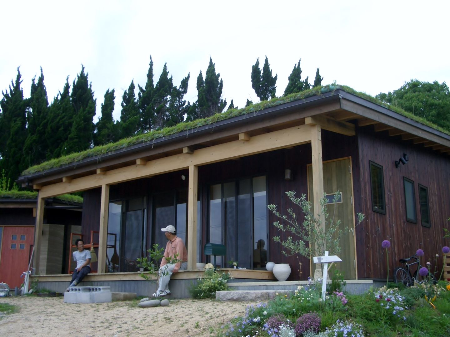 洲本草屋根の家と版築工房, 虎設計工房 虎設計工房 Terrace Solid Wood Multicolored