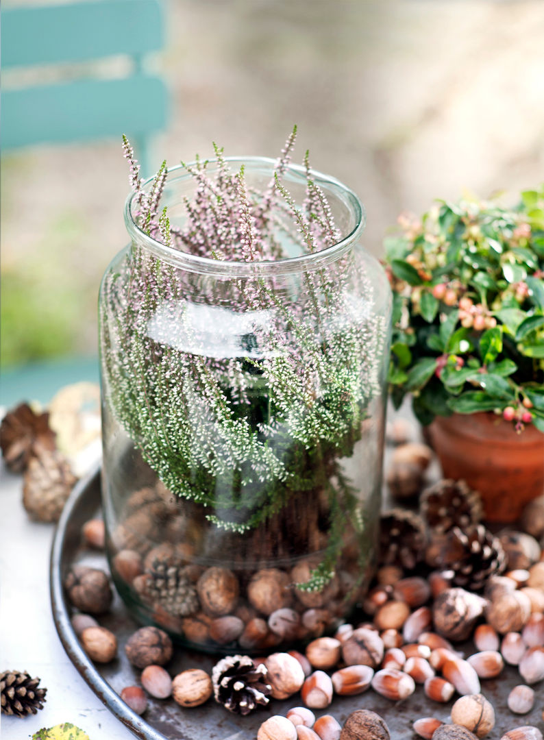 Herbstgarten, Pflanzenfreude.de Pflanzenfreude.de Jardines de estilo clásico