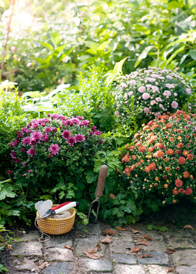 Herbstgarten, Pflanzenfreude.de Pflanzenfreude.de Jardines de estilo clásico